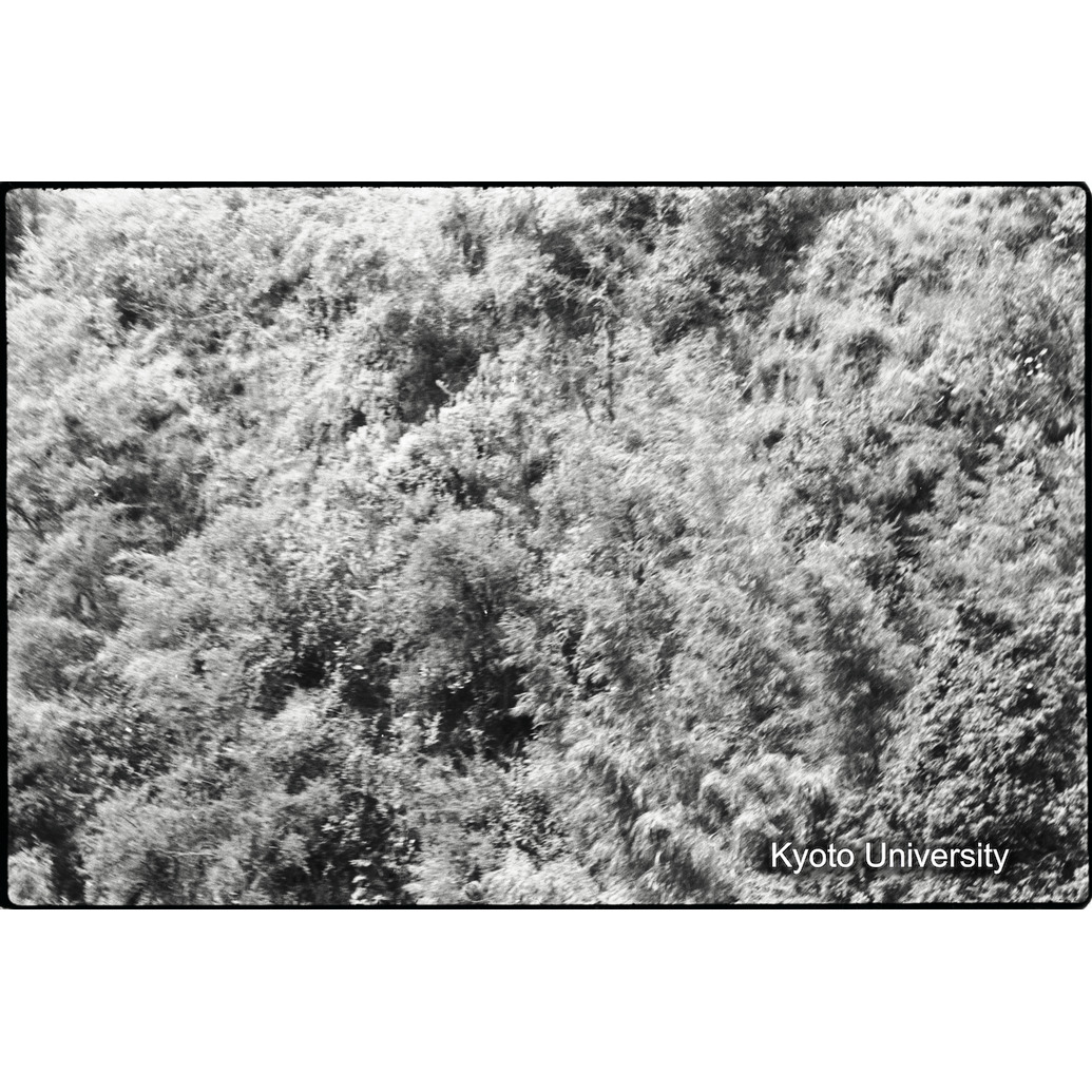 [5コマ目]「谷の斜面（１）」 (1)