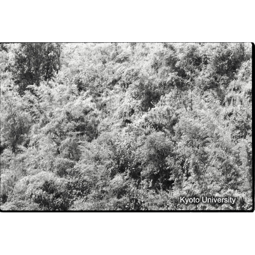 [6コマ目]「谷の斜面（２）」 (1)