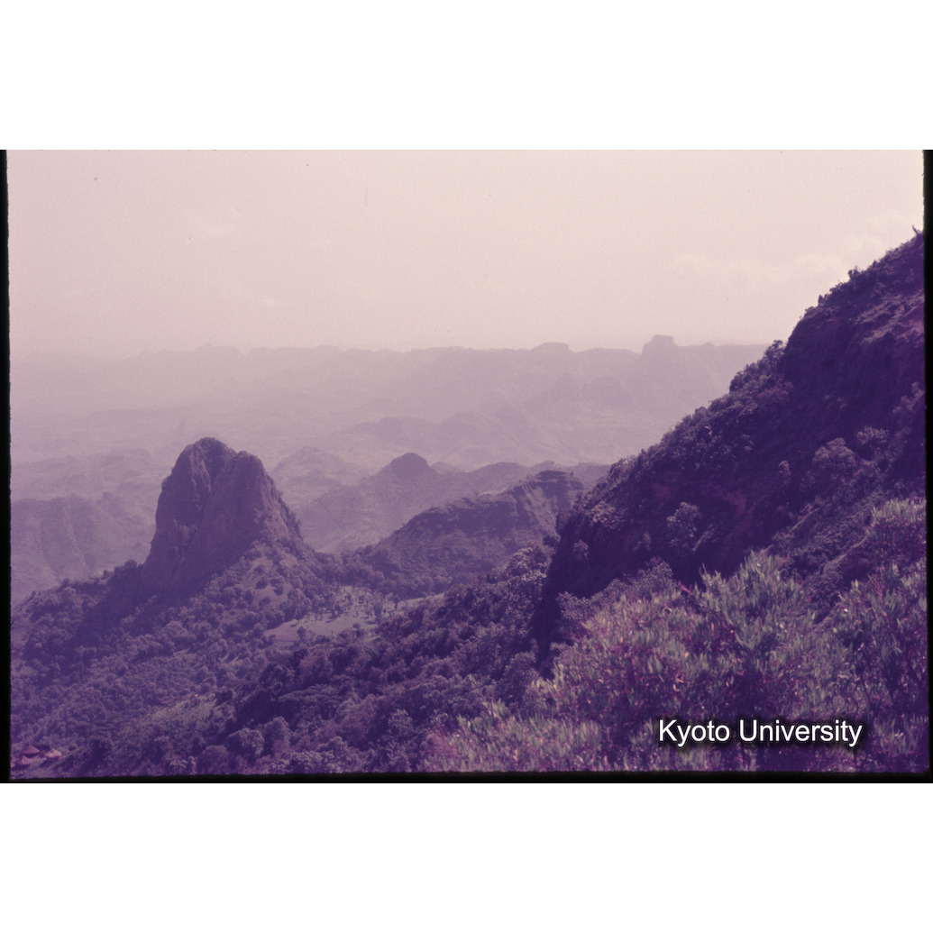 Sm　1973　1104 (1)