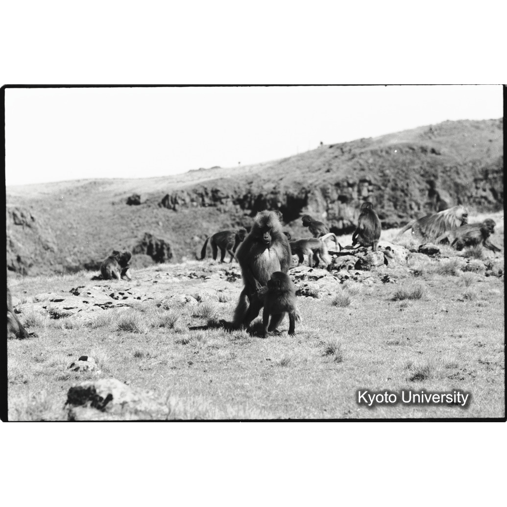 [７コマ目]「あそび（４）」 (1)