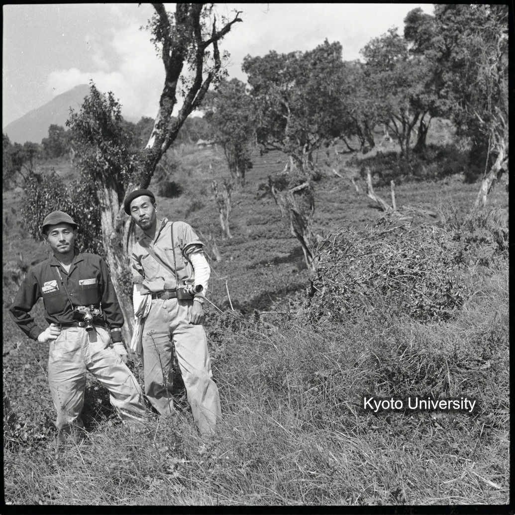 [8コマ目]「調査姿」 (1)