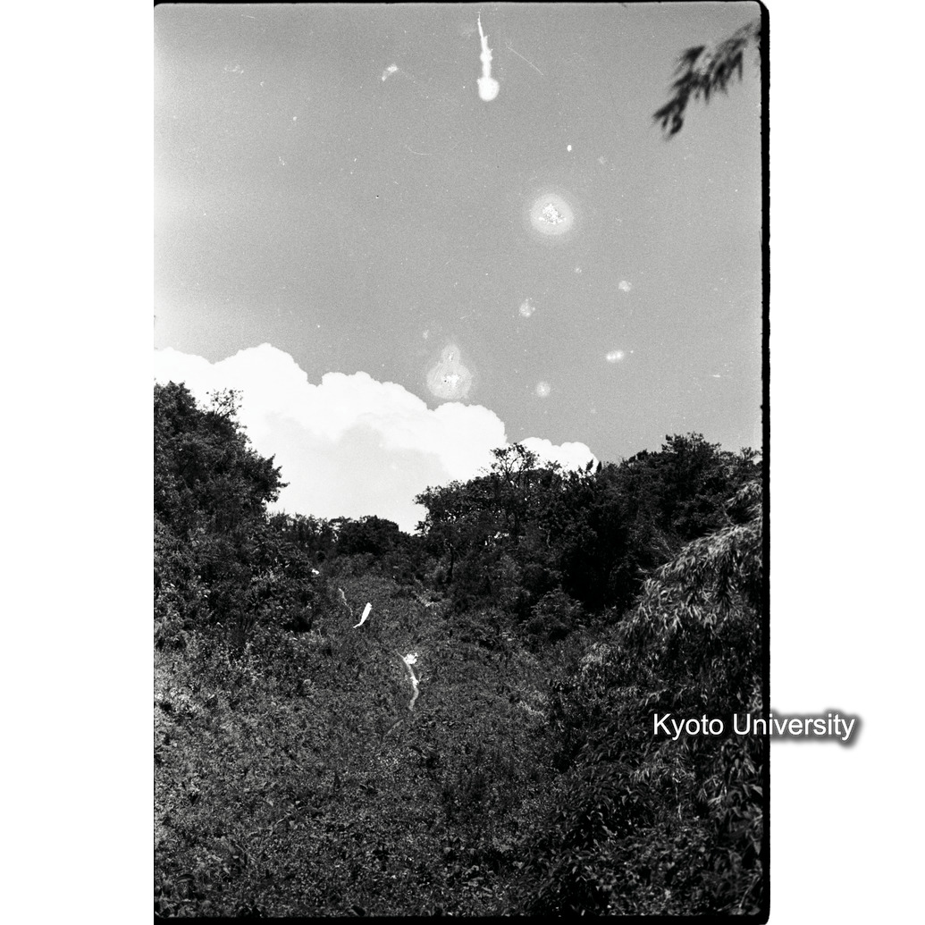 [33コマ目]「パイプライン」 (1)