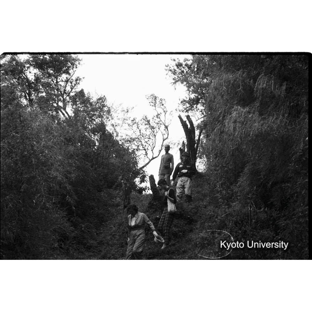 [37コマ目]「パイプラインを降りる」 (1)