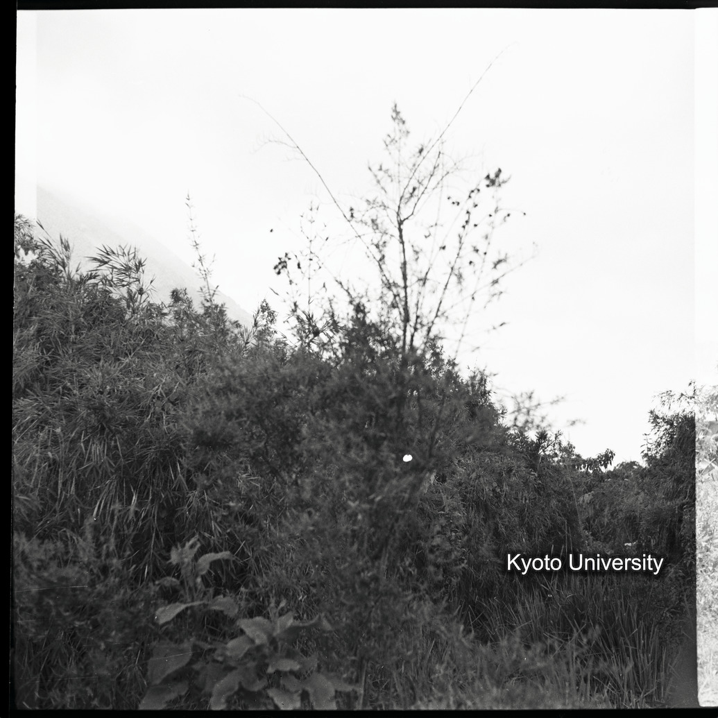 [1コマ目]「？」 (1)