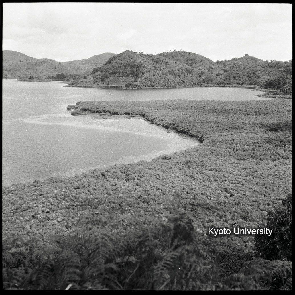 [3コマ目]「キブ湖畔と湿地帯」 (1)