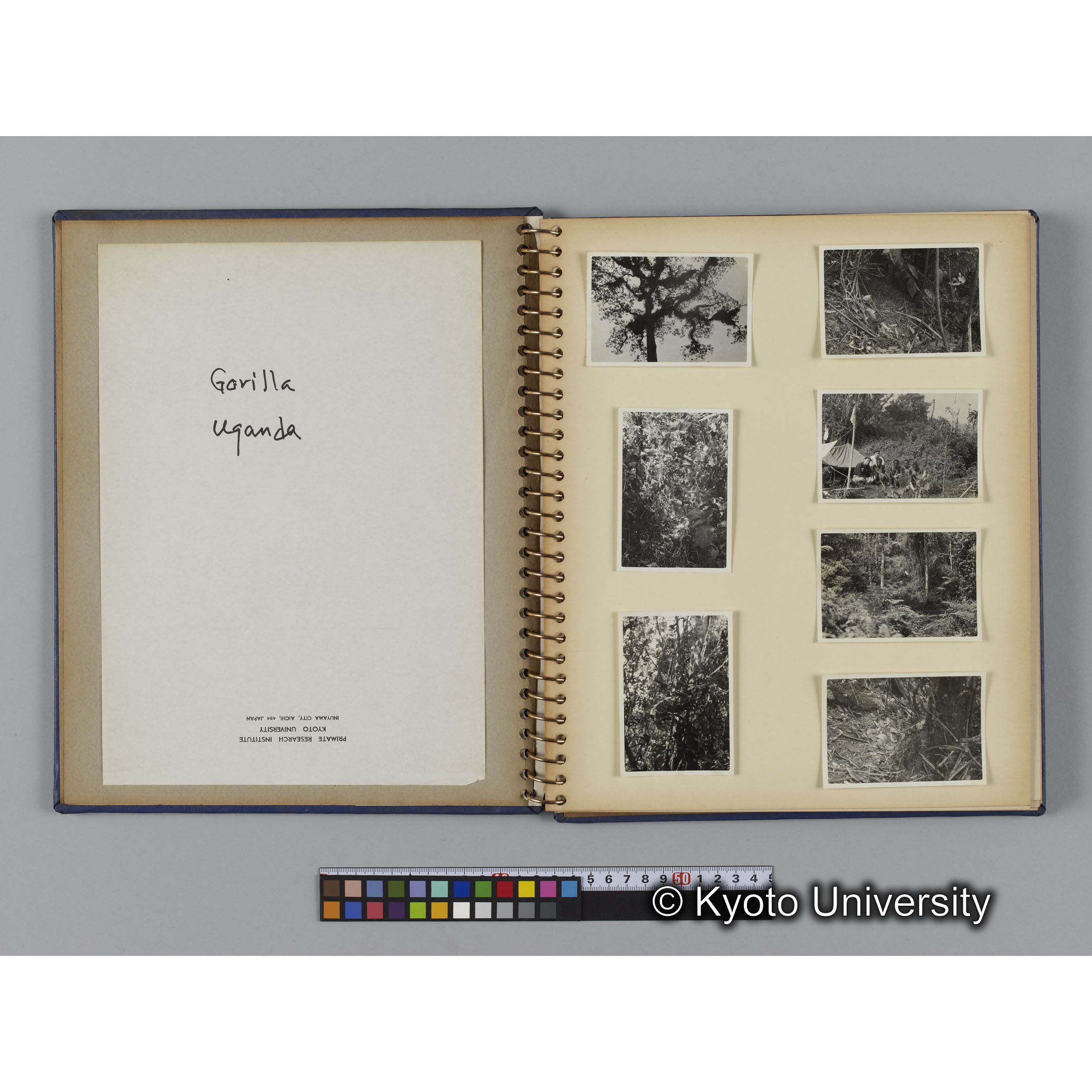 [見開き１]「カヨンザの森」 (1)