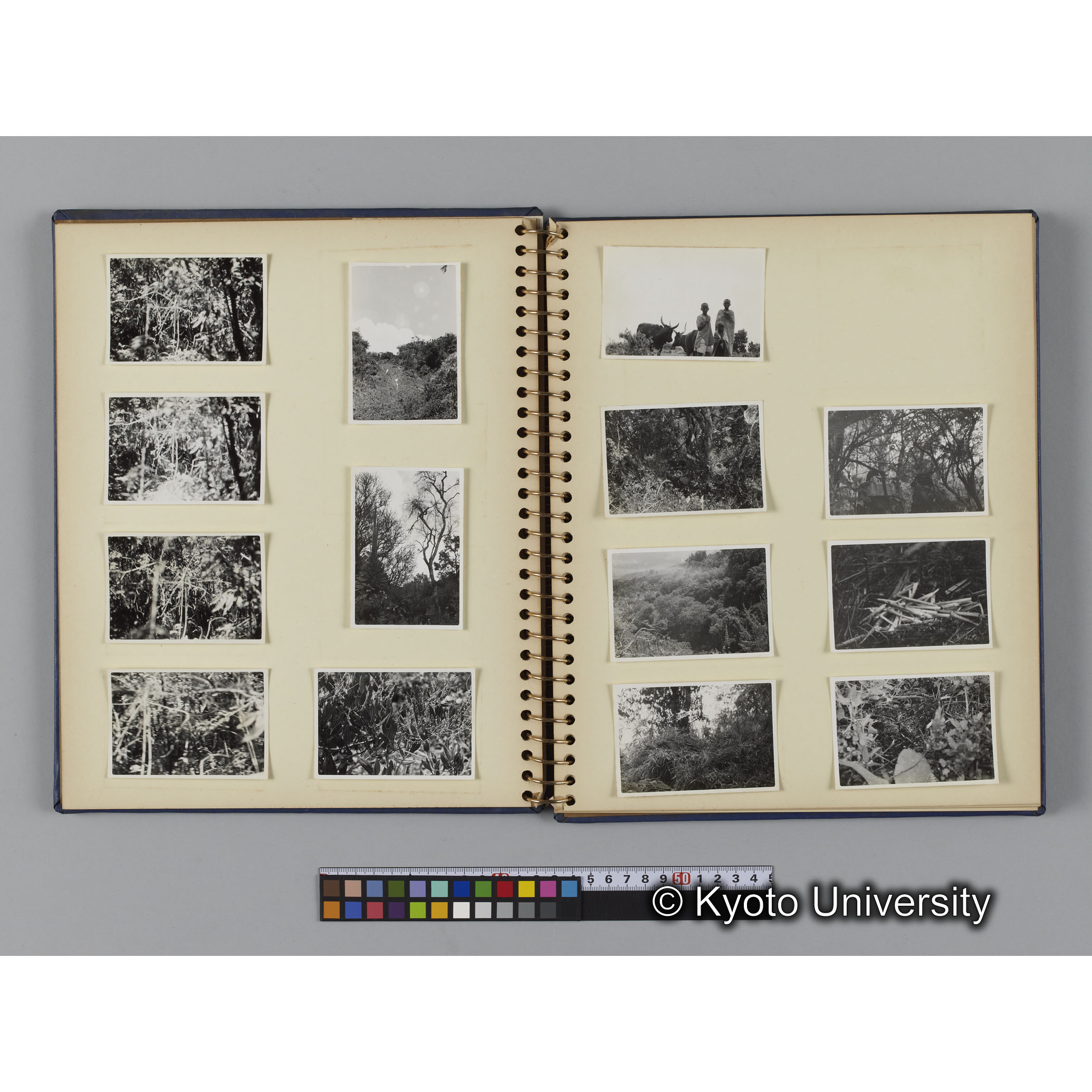 [見開き５]「ムハブラ山」 (1)