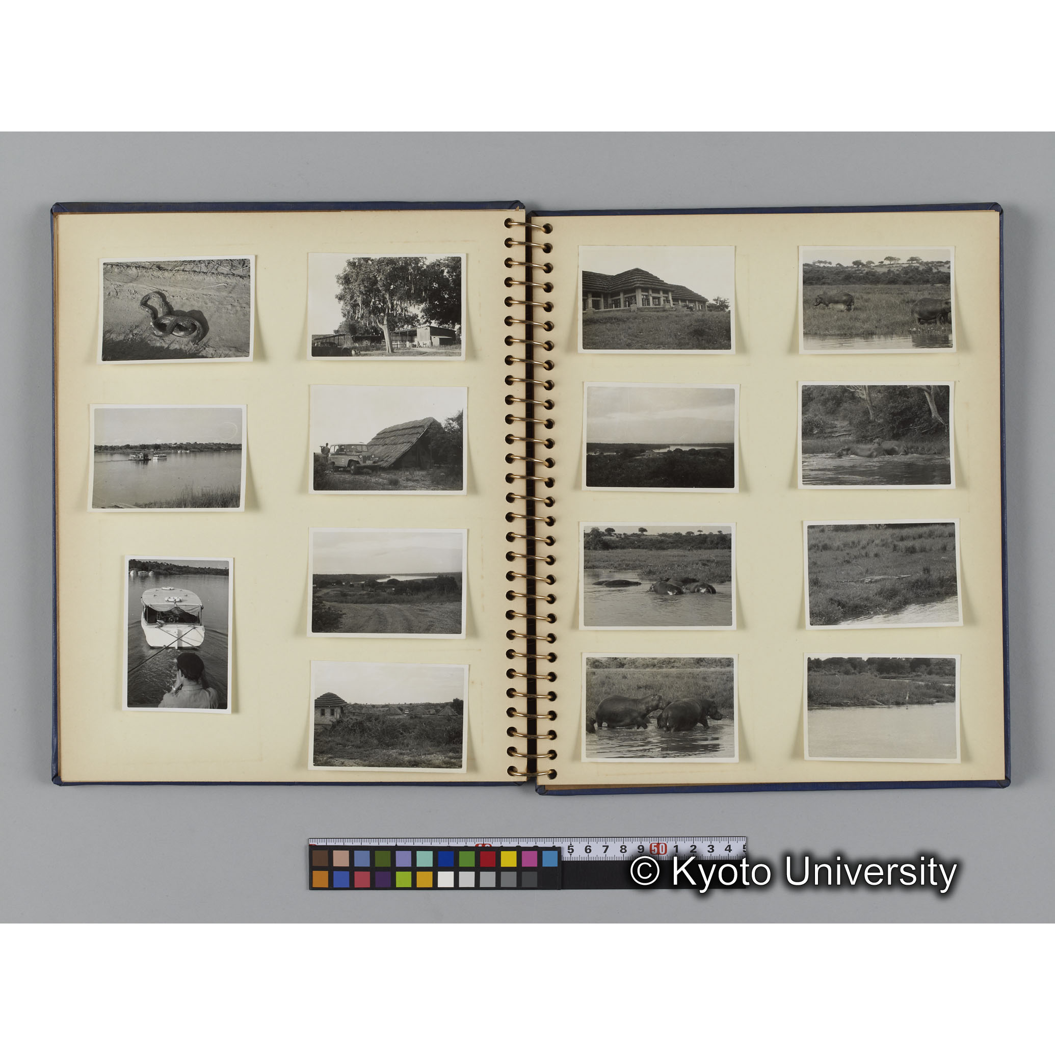 [見開き１０]「マーチソンフォールズ国立公園」 (1)