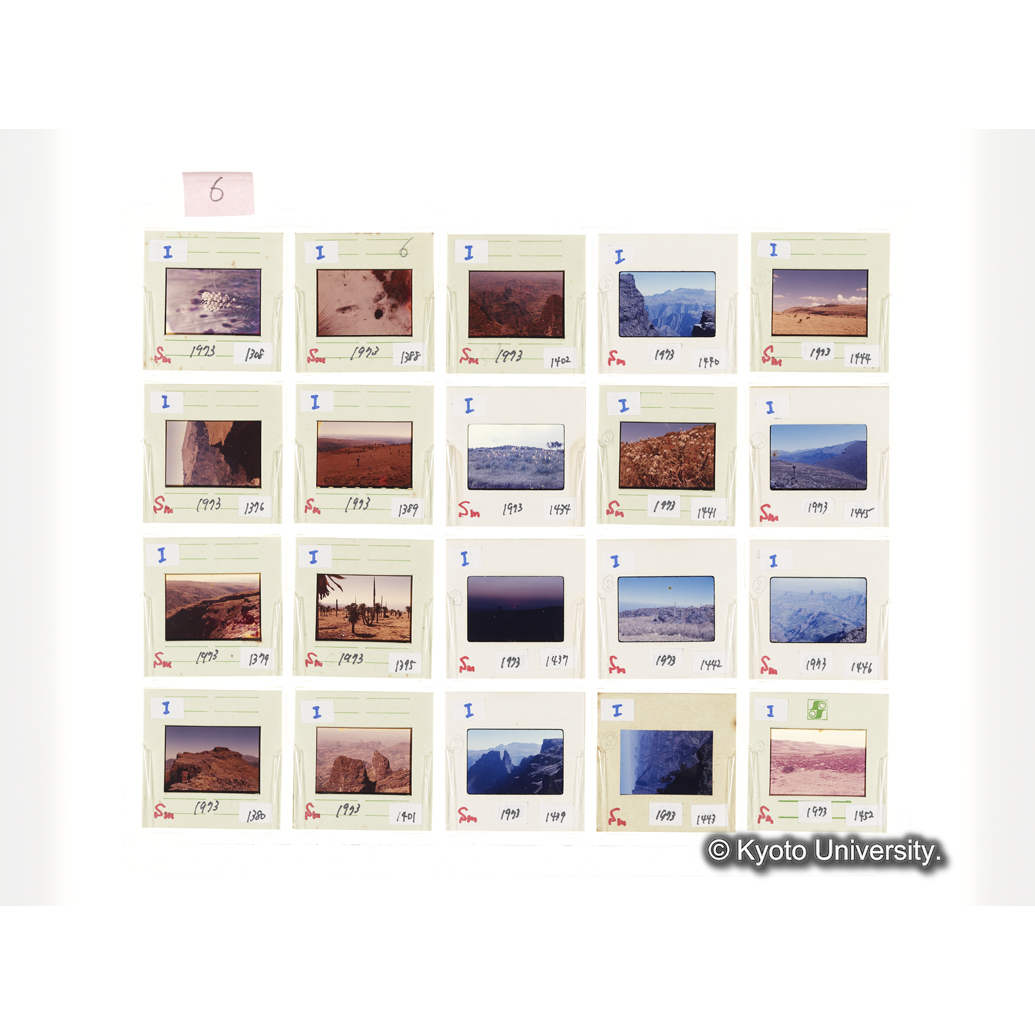 [スライドシート] 6 (1)