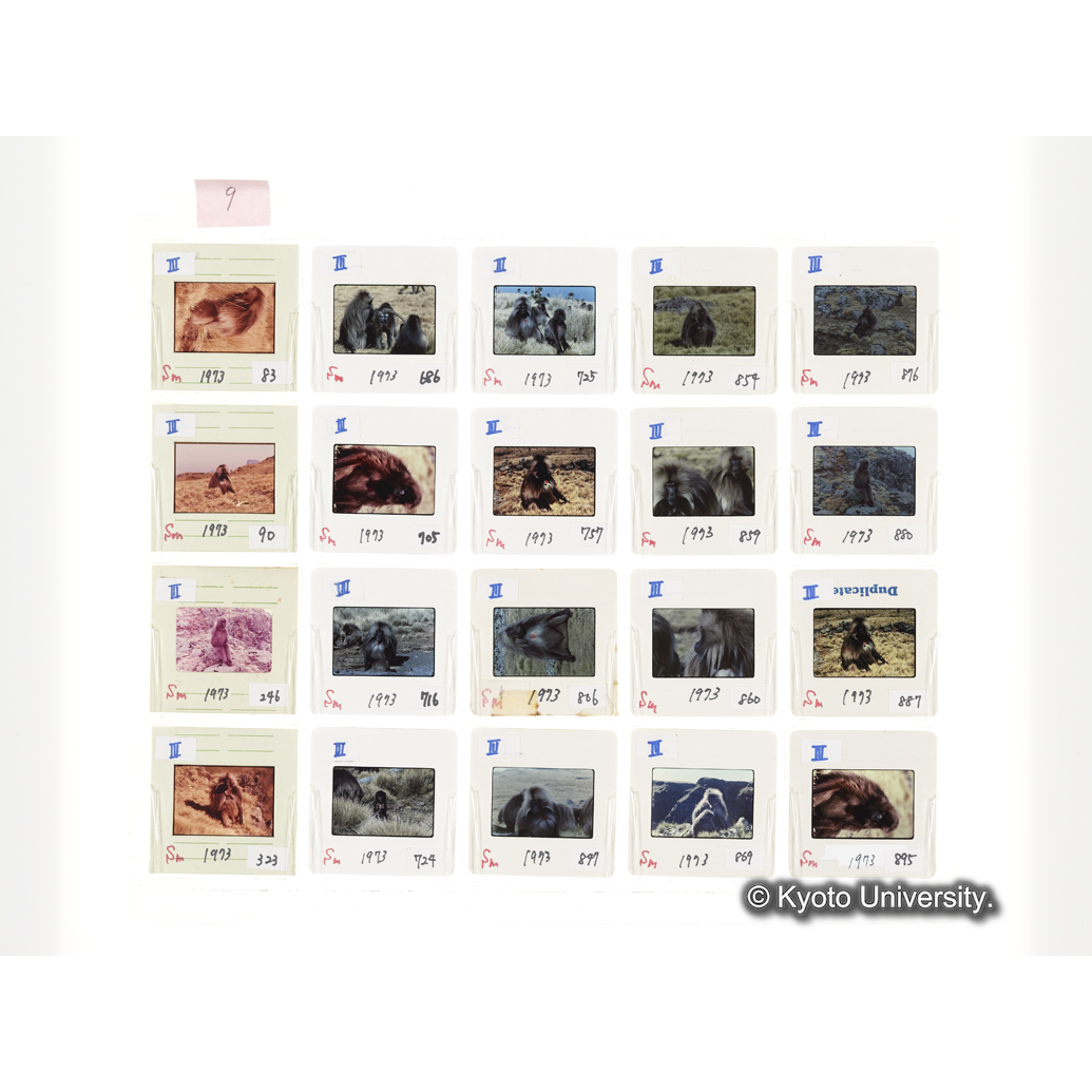 [スライドシート] 9 (1)