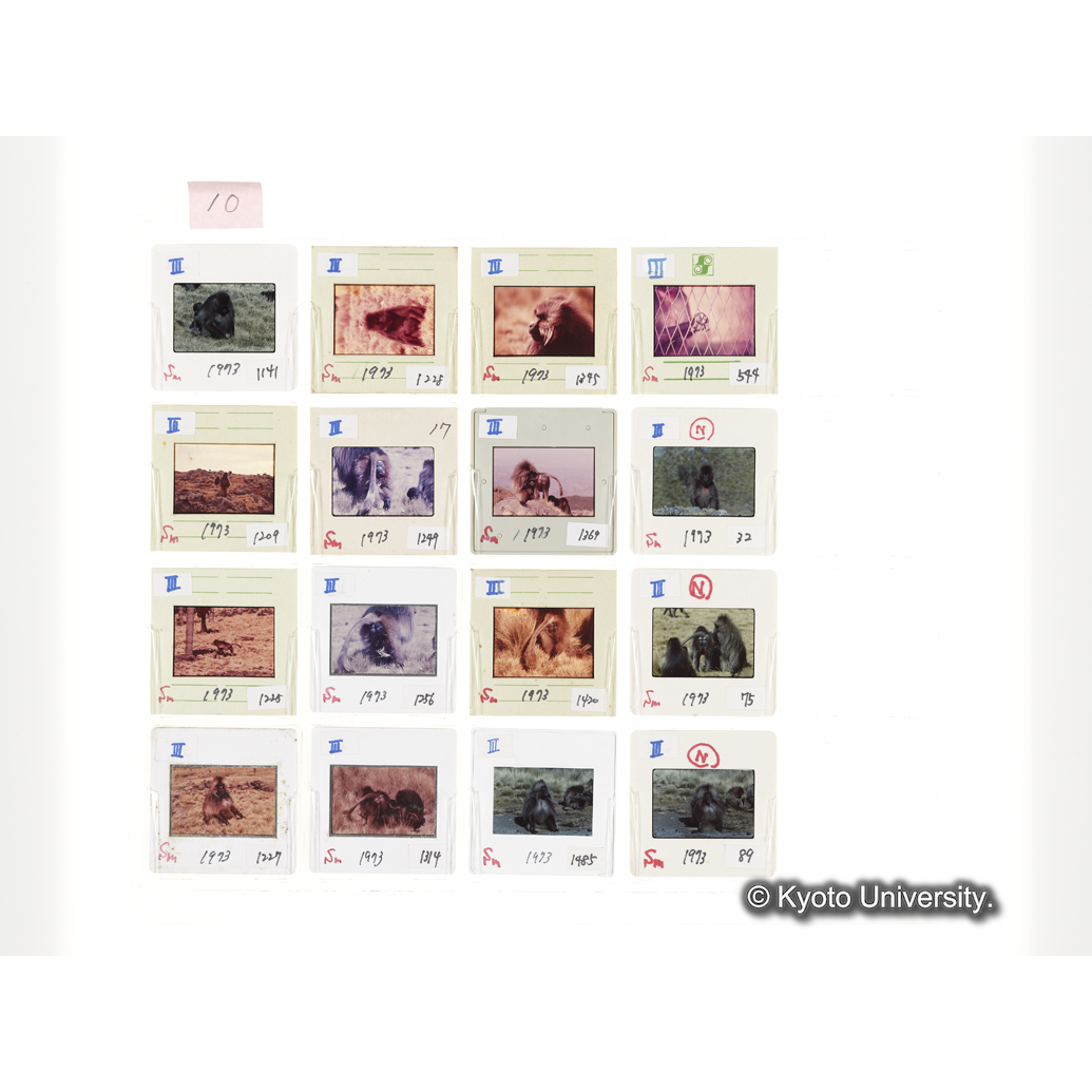 [スライドシート]10 (1)