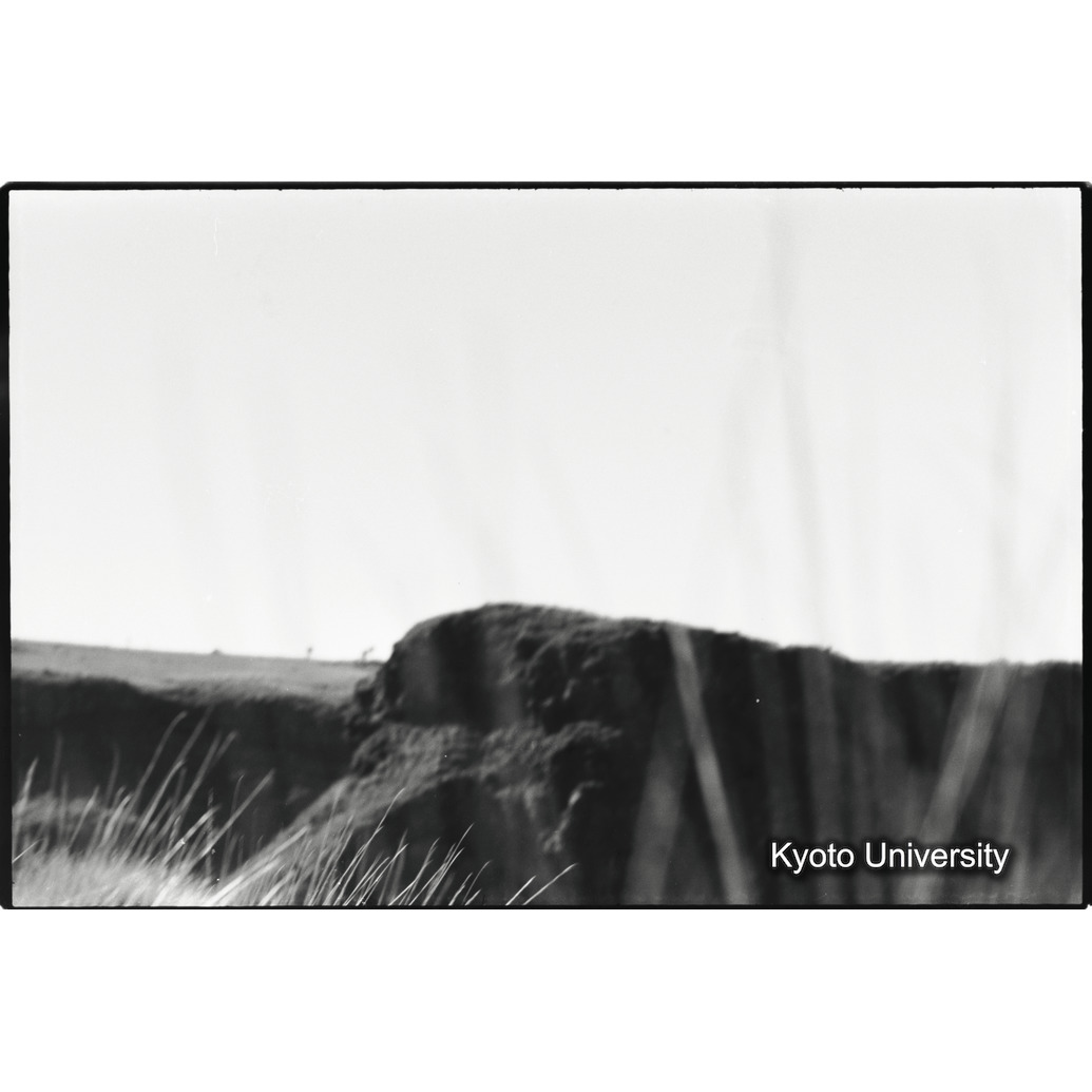 [１コマ目]「×」 (1)