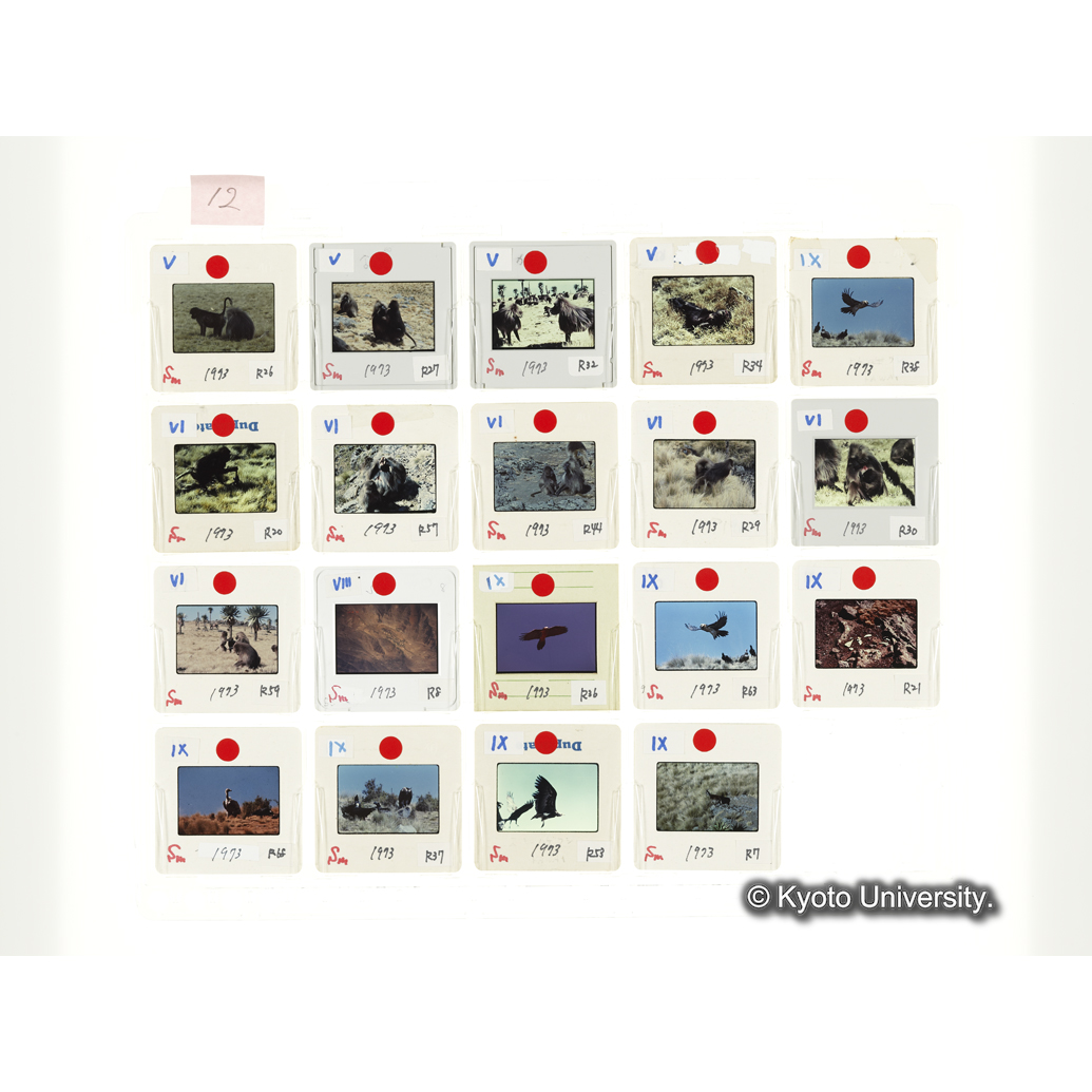 [スライドシート]12 (1)