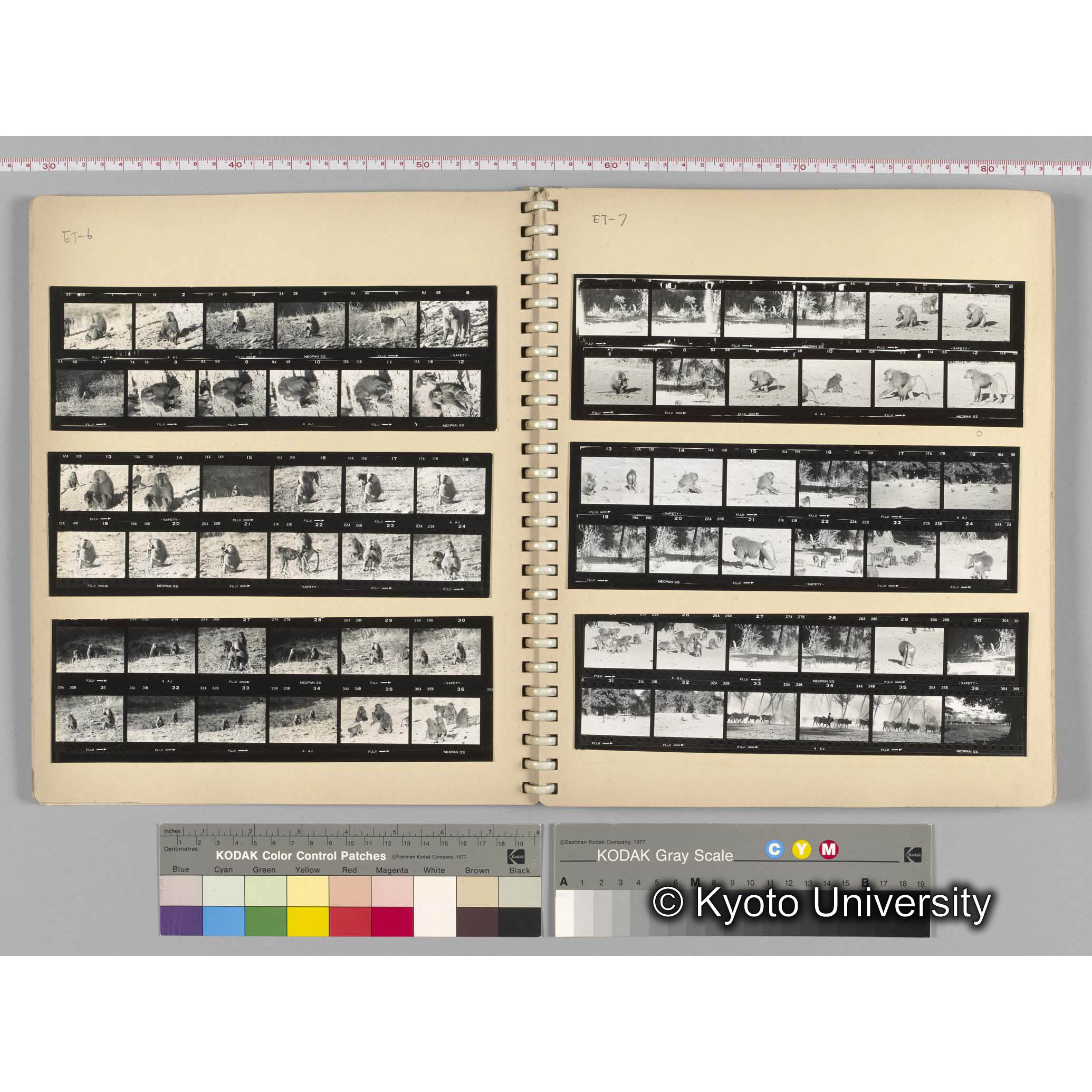 [見開き４][ET-6]ハイブリッド，[ET-7]ハイブリッド (1)