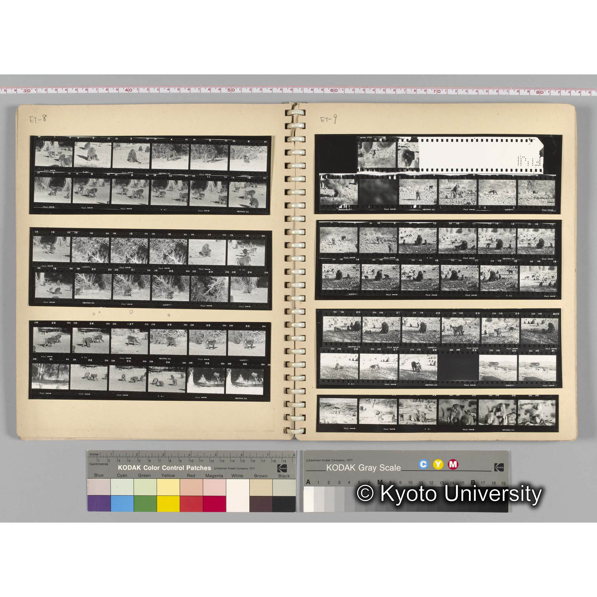 [見開き５][ET-8]ハイブリッド，[ET-9]ハイブリッド (1)