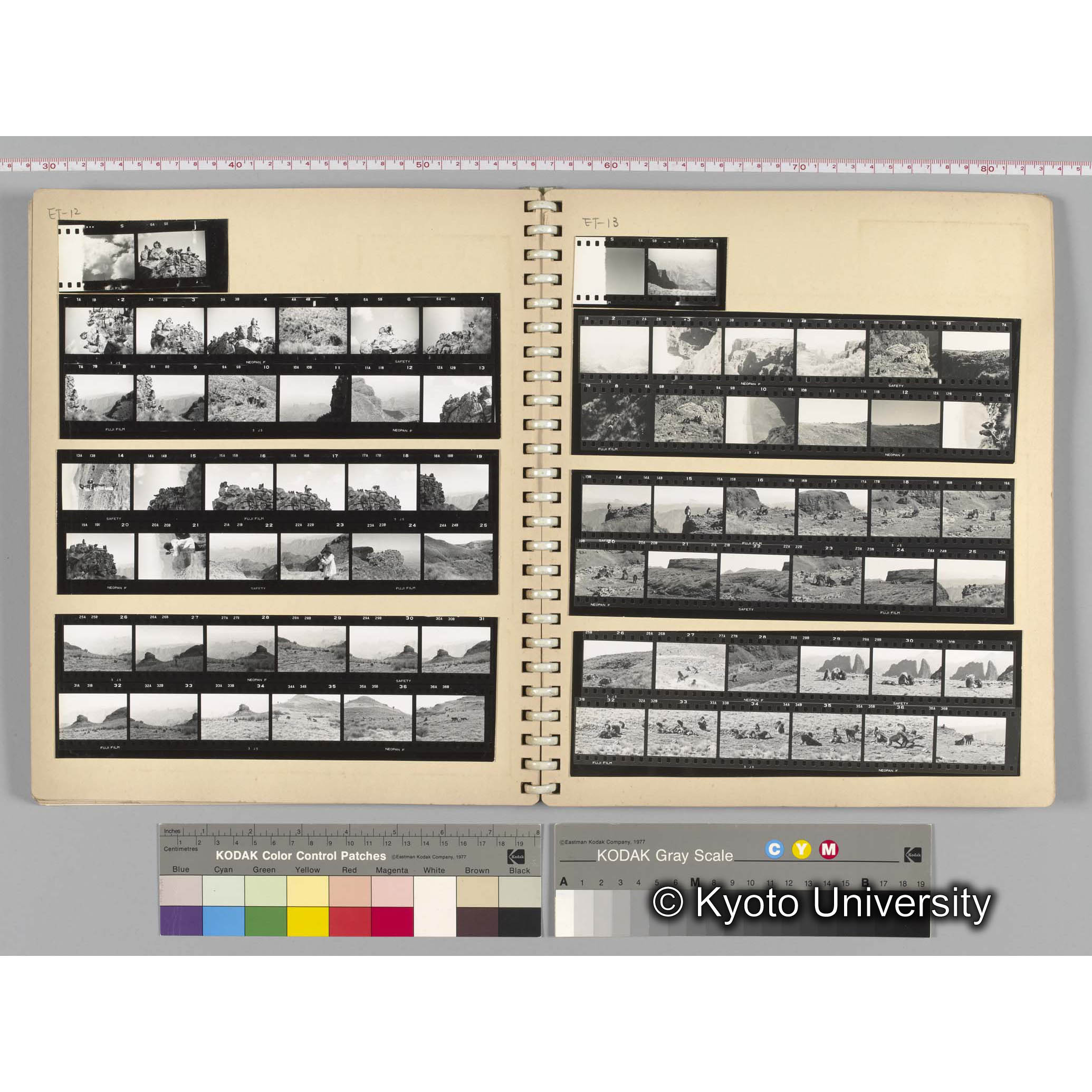 [見開き７][ET-12]ゲラダヒヒの生態，[ET-13]生態と社会行動 (1)