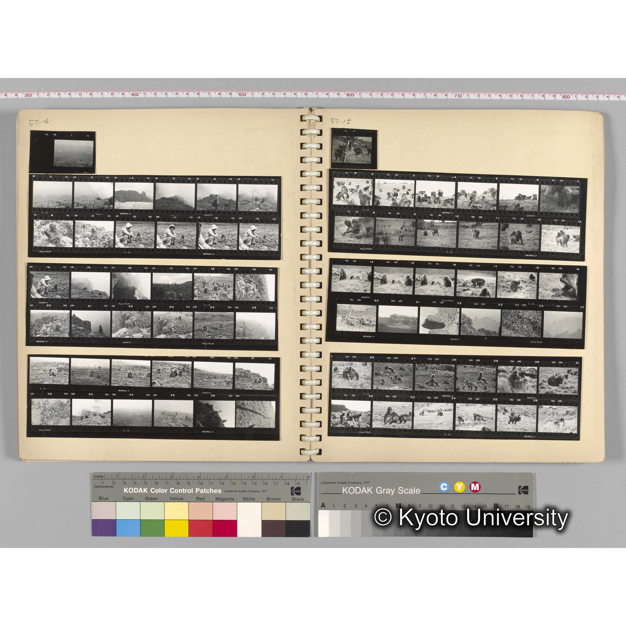 [見開き８][ET-14]森隊員、社会行動，[ET-15]生態と行動 (1)