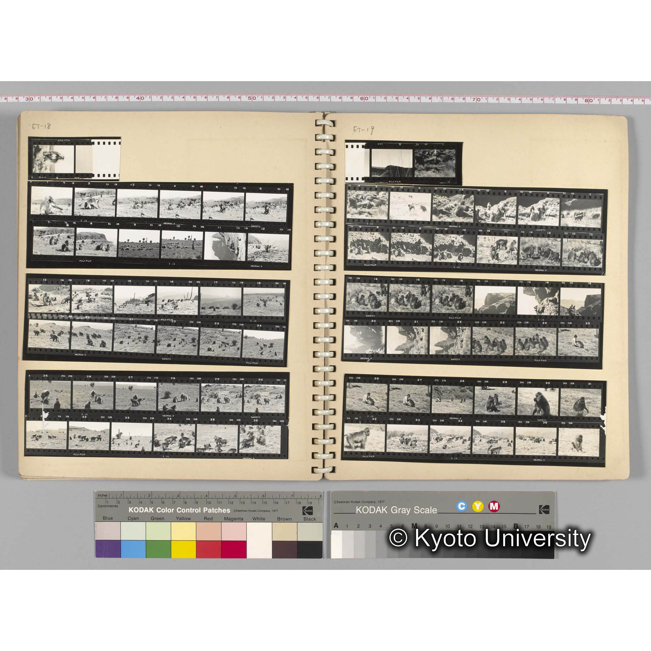 [見開き１０][ET-18]生態と社会，[ET-19]社会行動、社会関係 (1)