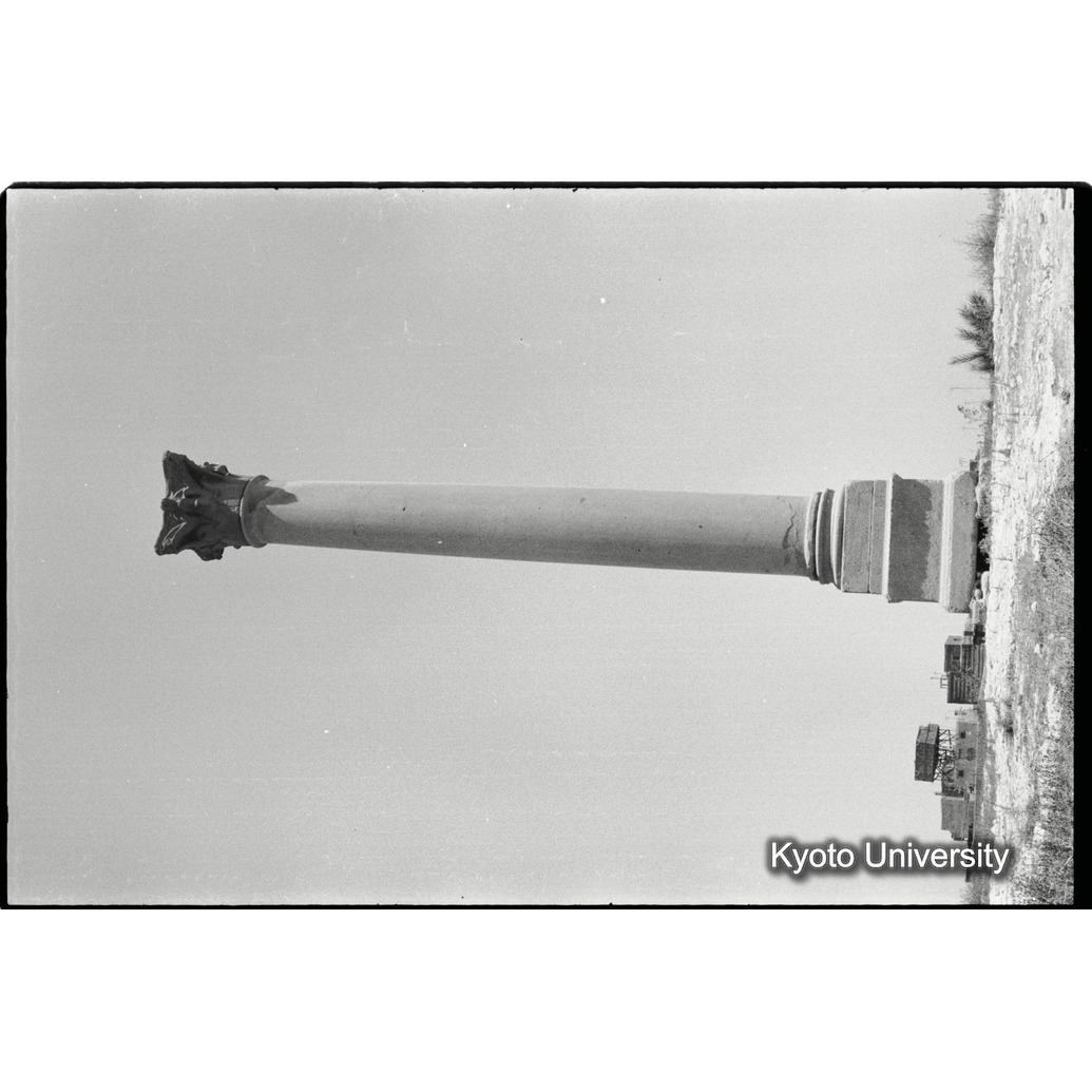 [１２コマ目]「トランジットのエジプト」「×」 (1)