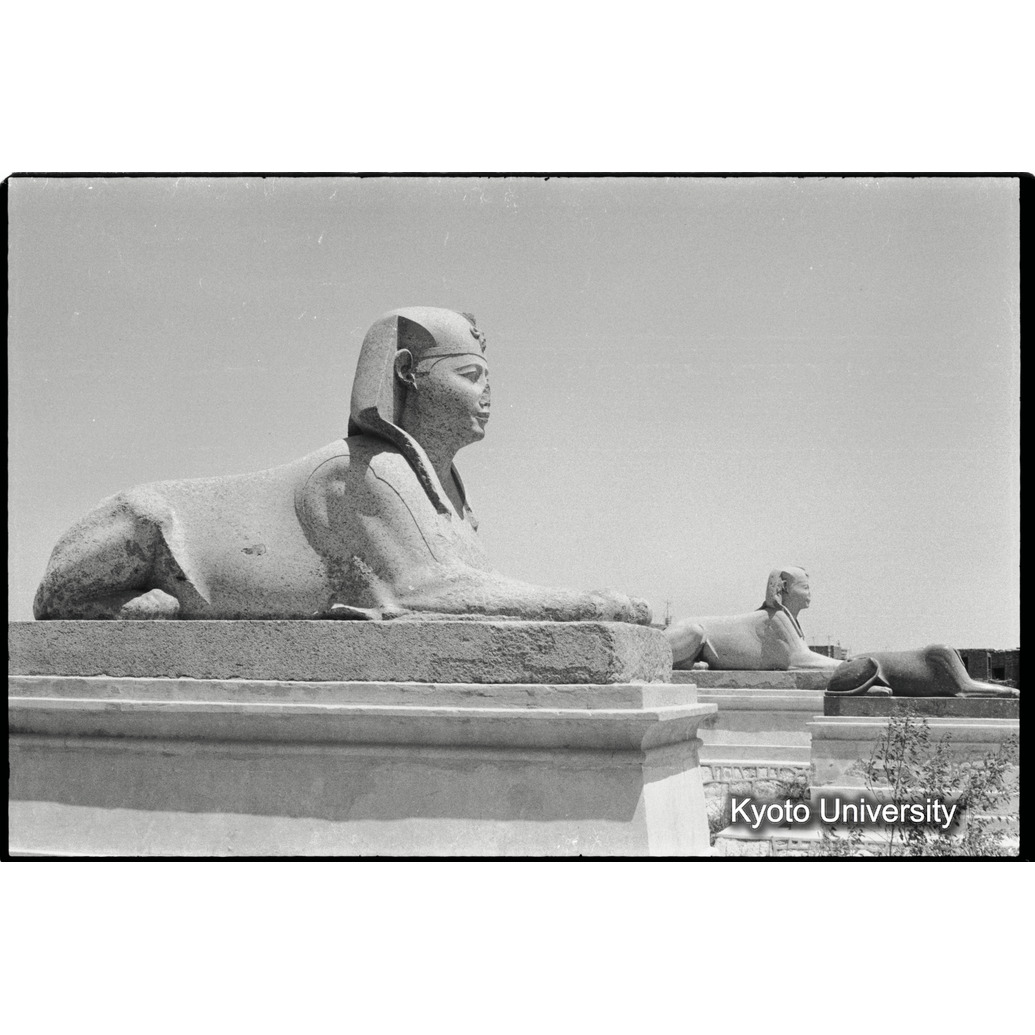 [１３コマ目]「トランジットのエジプト」「×」 (1)