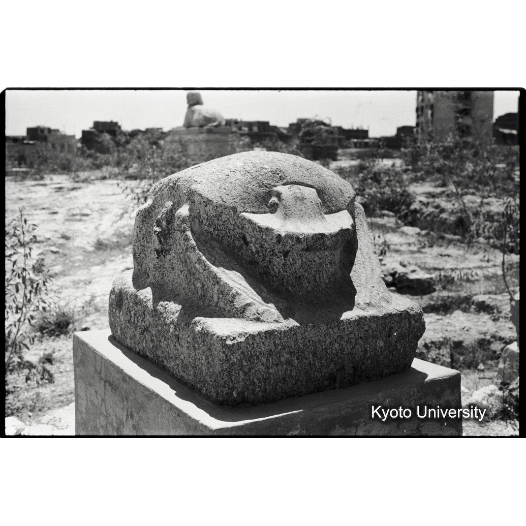 [１９コマ目]「トランジットのエジプト」「×」 (1)