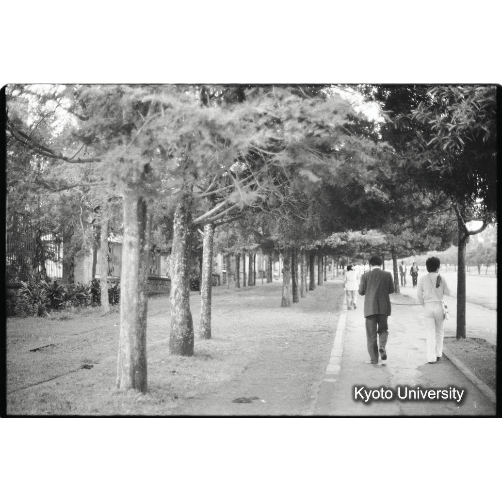 [６コマ目]「並木道」 (1)