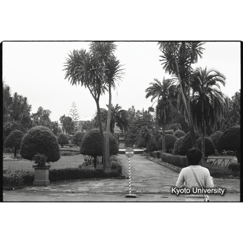 [８コマ目]「パレス」 (1)