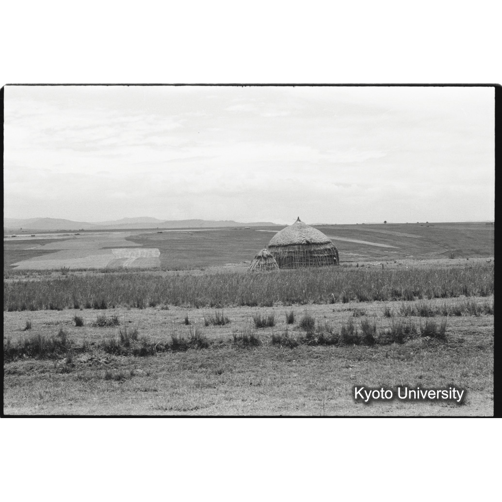 [４コマ目]「シダモ族の農家（３）」 (1)