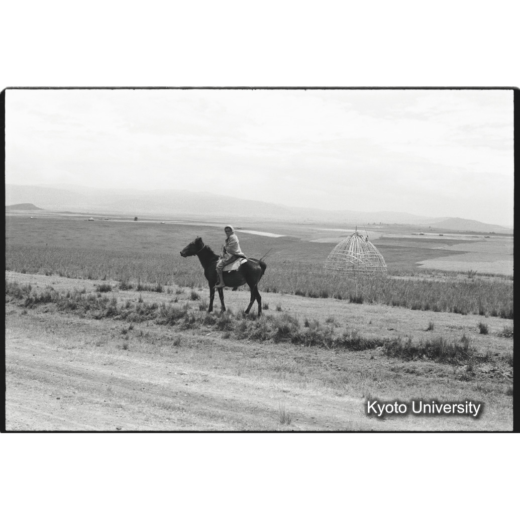 [５コマ目]「シダモ族の女性（１）」 (1)