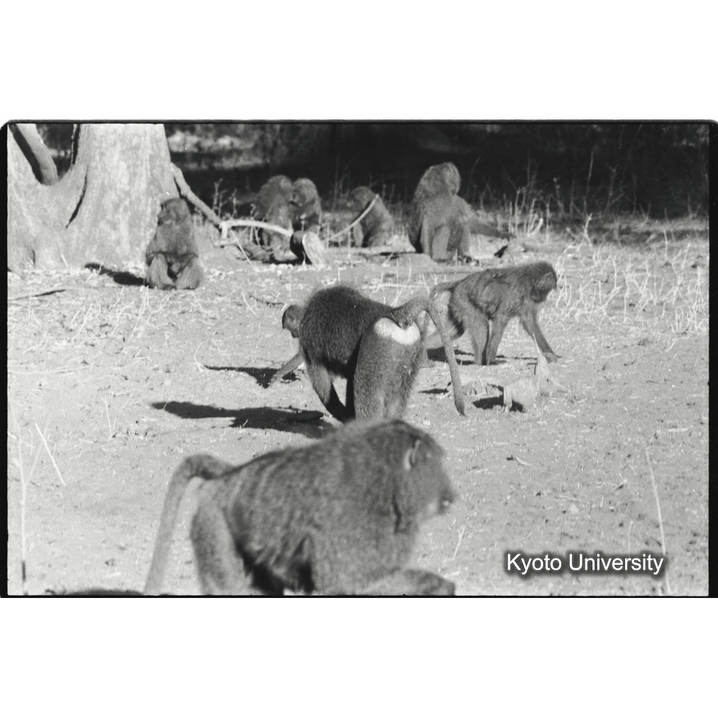 [１８コマ目]「×」 (1)