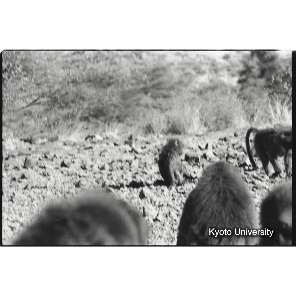 [２コマ目]「×」 (1)