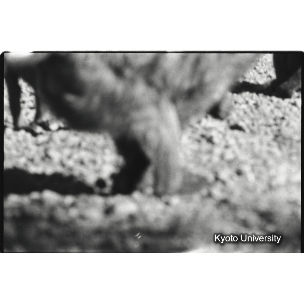 [３コマ目]「×」 (1)