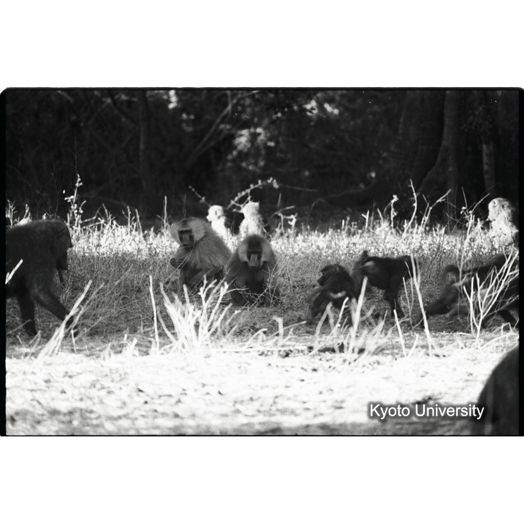 [１４コマ目]「×」 (1)