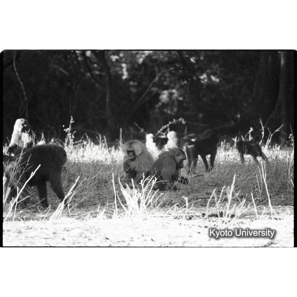 [１５コマ目]「×」 (1)