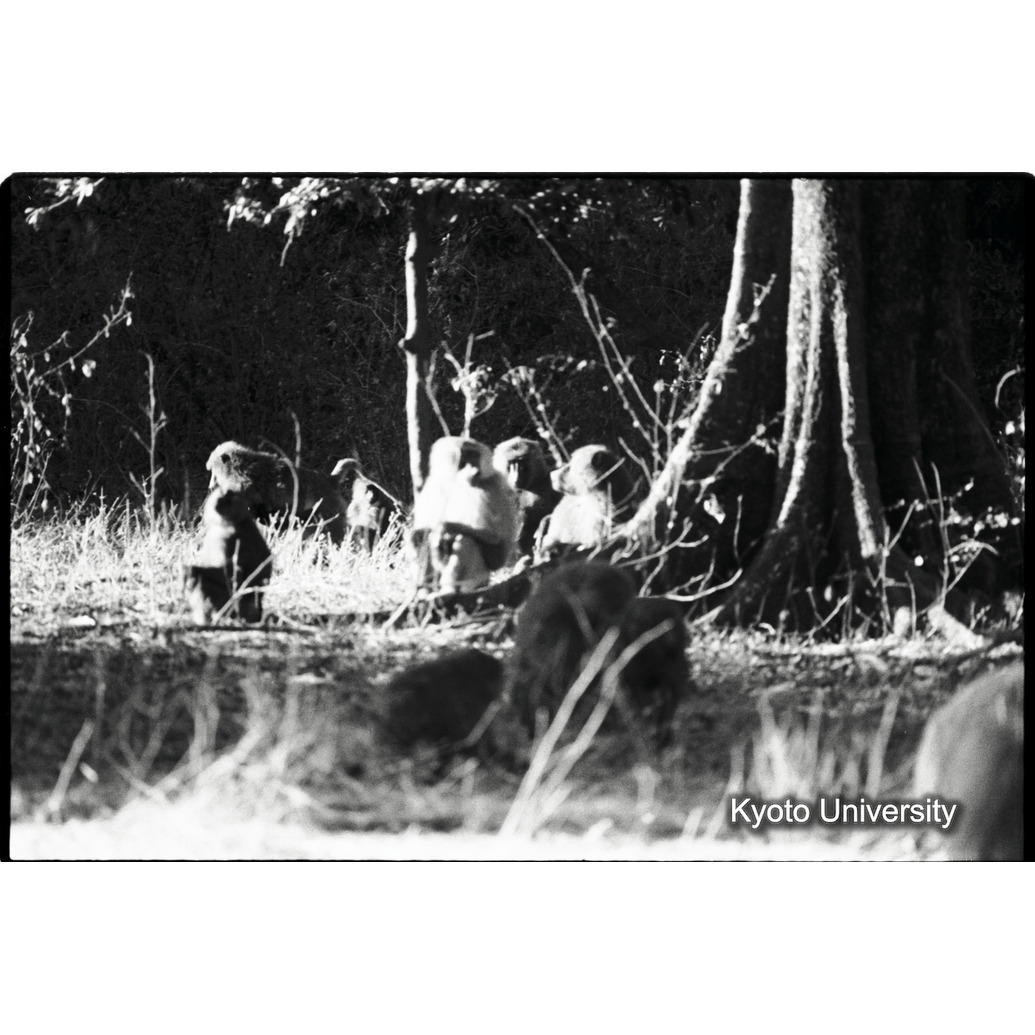 [２１コマ目]「×」 (1)