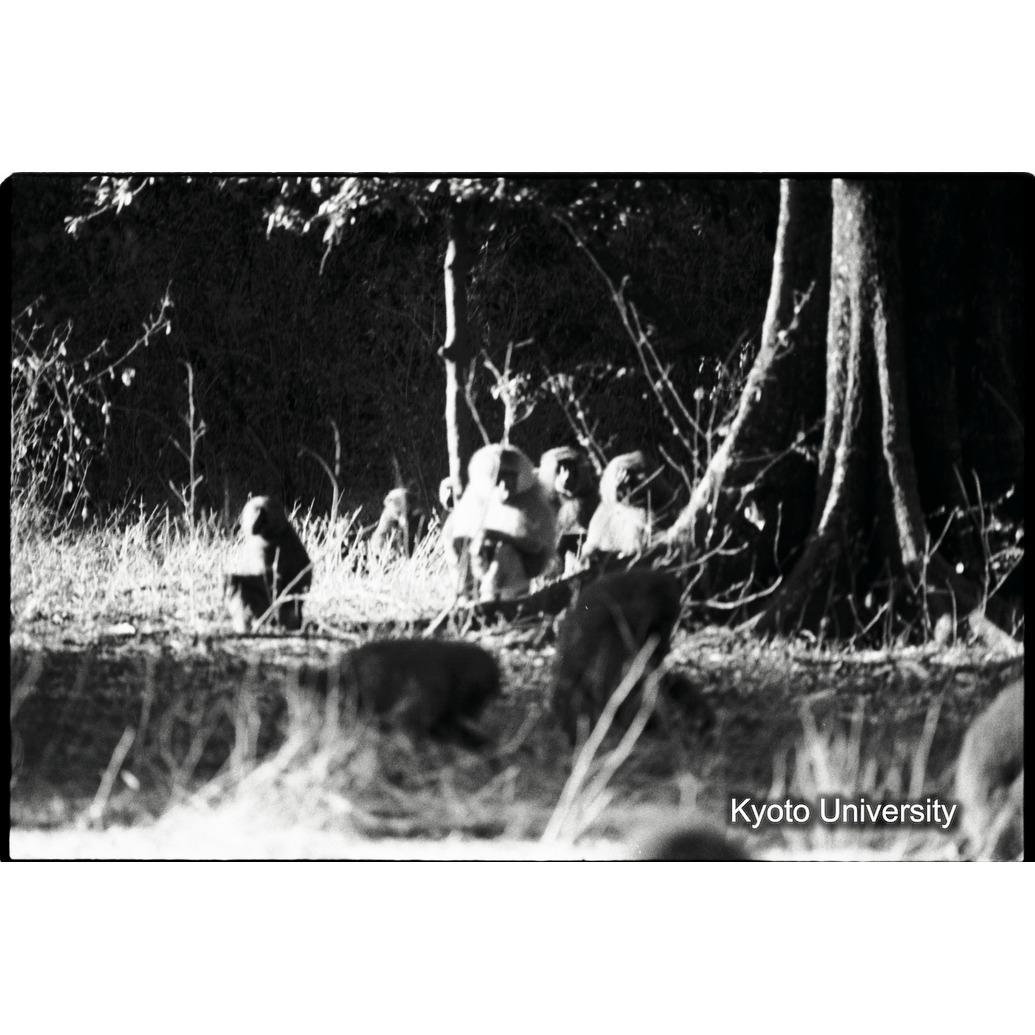 [２３コマ目]「×」 (1)