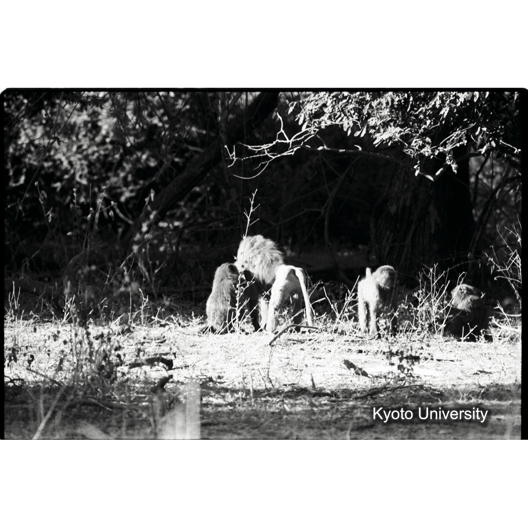 [２５コマ目]「×」 (1)