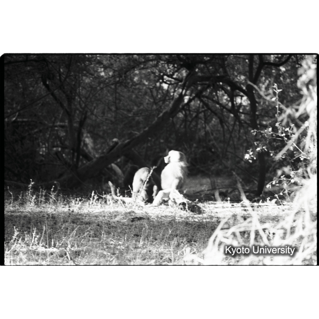 [２９コマ目]「×」 (1)