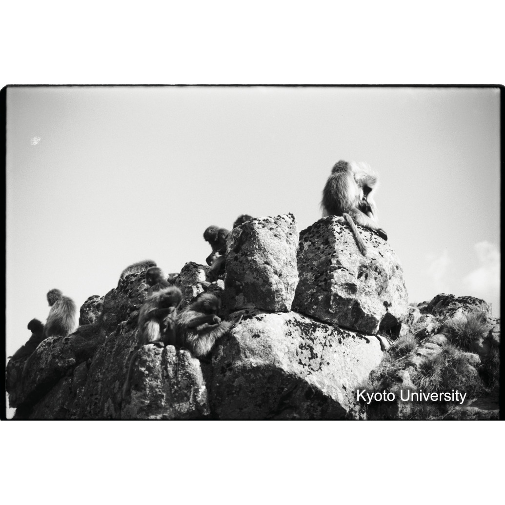 [５コマ目]「コドモグループ（１）」 (1)