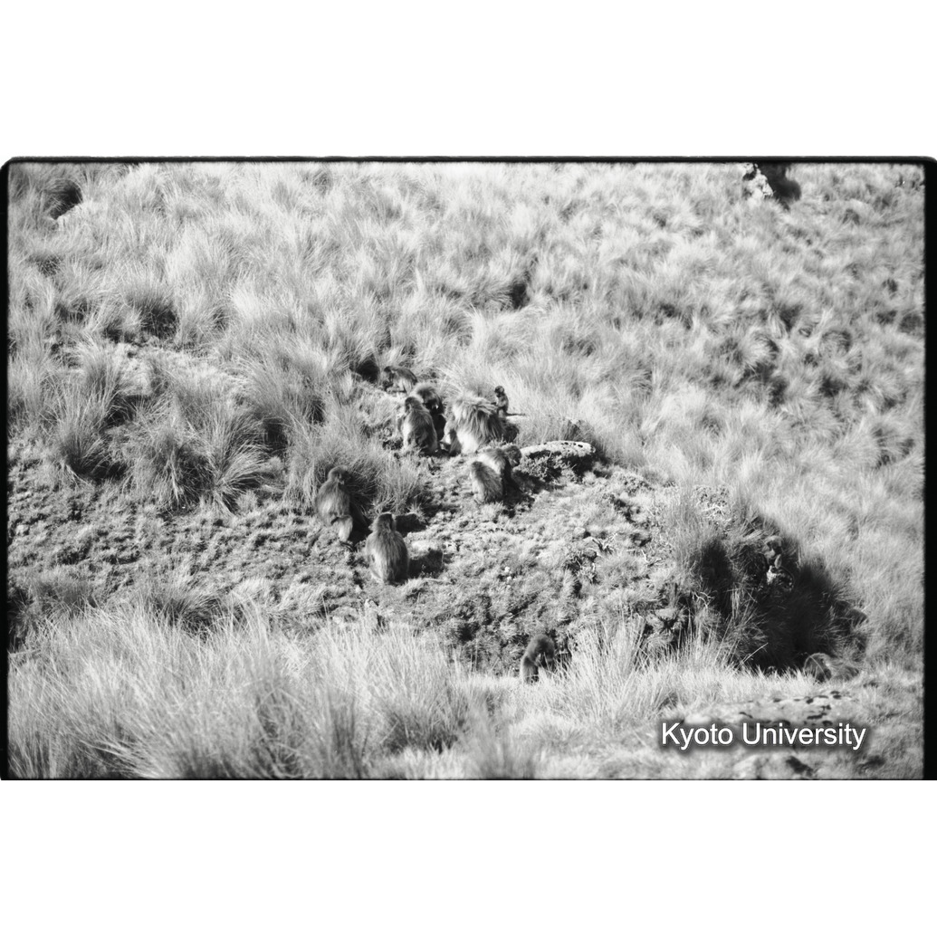 [６コマ目]「ユニットの休息（１)」 (1)