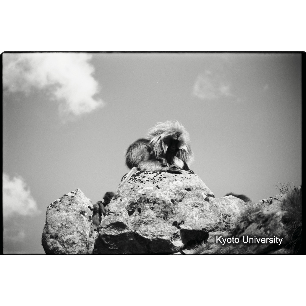 [７コマ目]「グルーミング（１）」 (1)