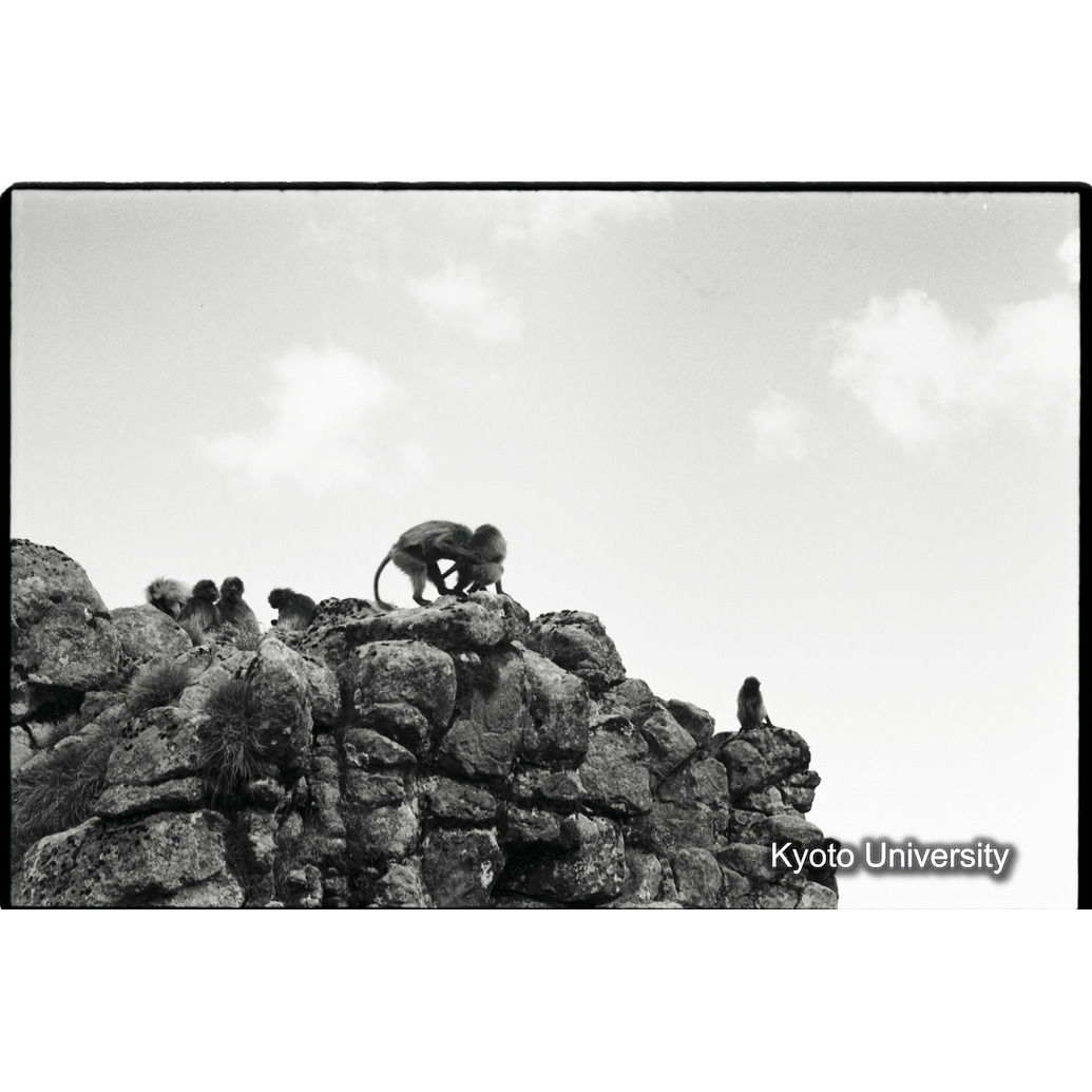 [１９コマ目]「レスリング」 (1)