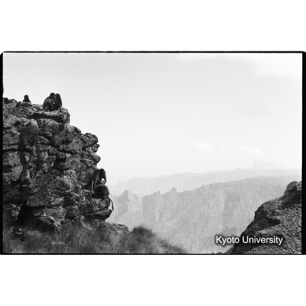 [２０コマ目]「崖での休息（３）」 (1)