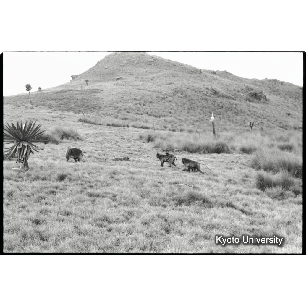 [３６コマ目]「移動（１）」 (1)