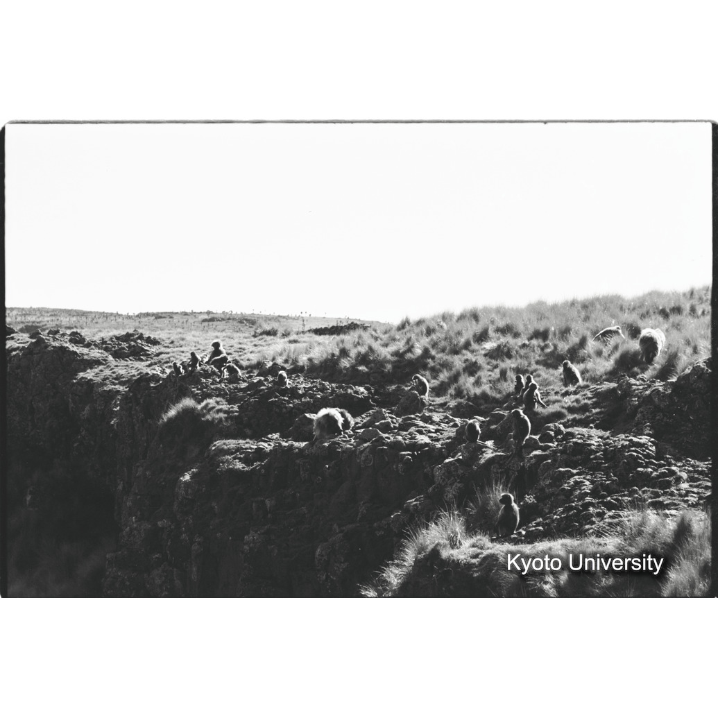 [８コマ目]「休息の風景」 (1)