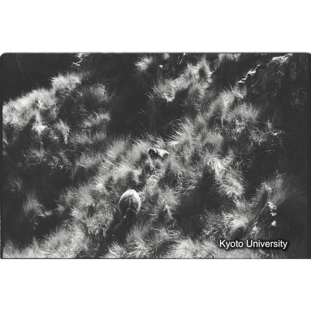 [９コマ目]「移動（２）」 (1)