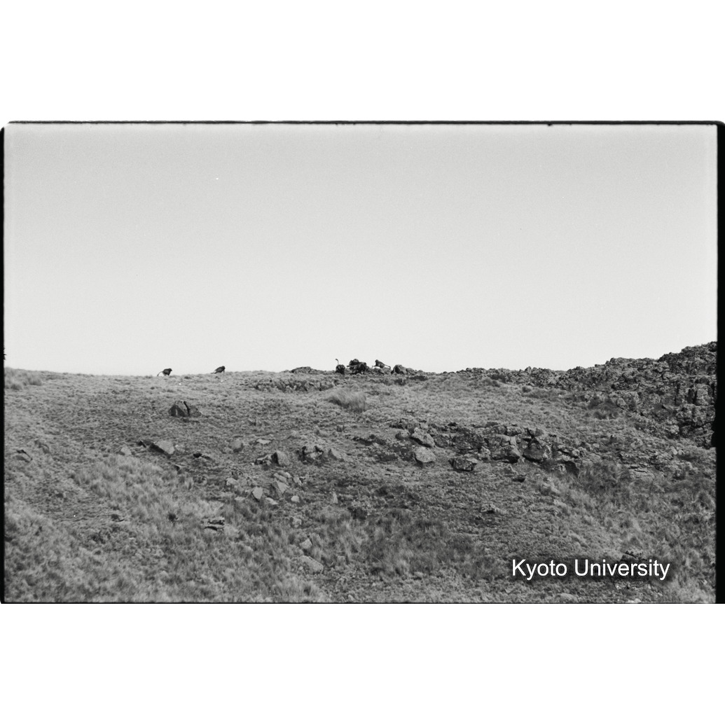 [１２コマ目]「荒地の風景」 (1)