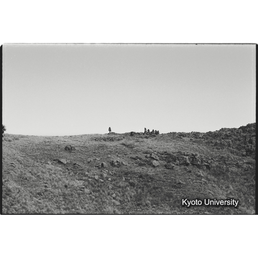 [１３コマ目]「荒地とゲラダヒヒ」 (1)