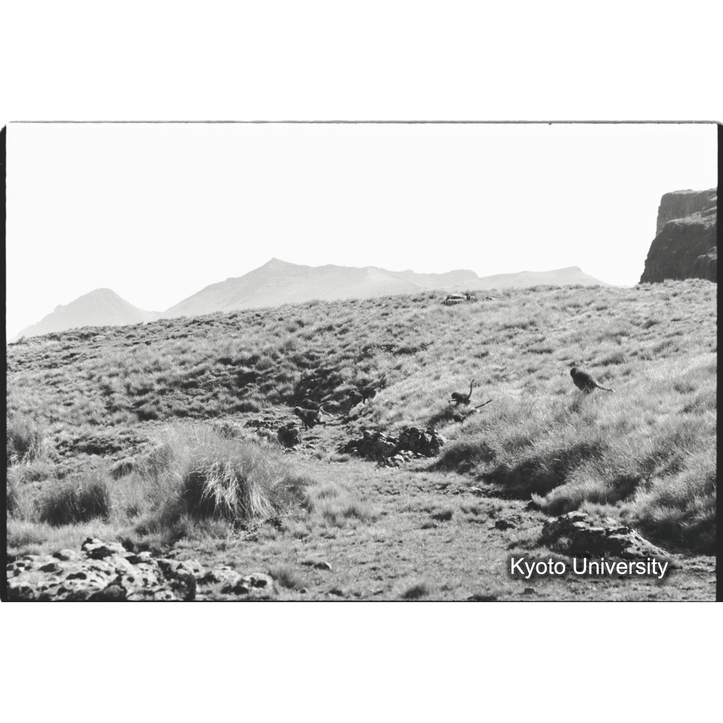 [２３コマ目]「コドモのあそび（５）」 (1)