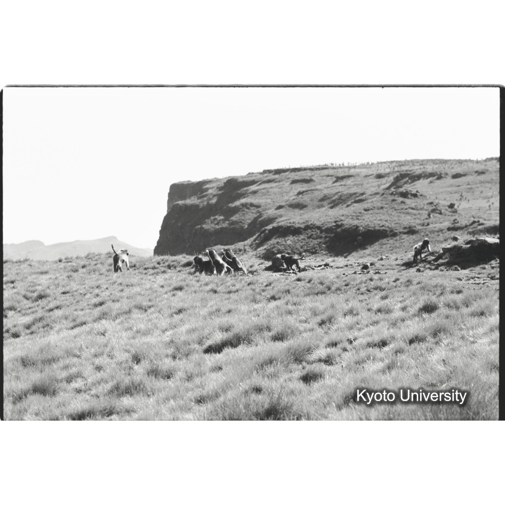 [２５コマ目]「コドモグループ（５）」 (1)